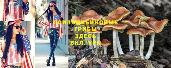 скорость Абаза
