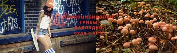 скорость Абаза